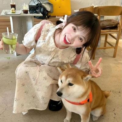 垛上花 海报