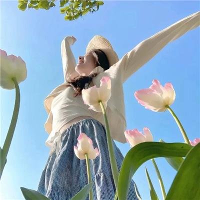 我的人生冒险 海报